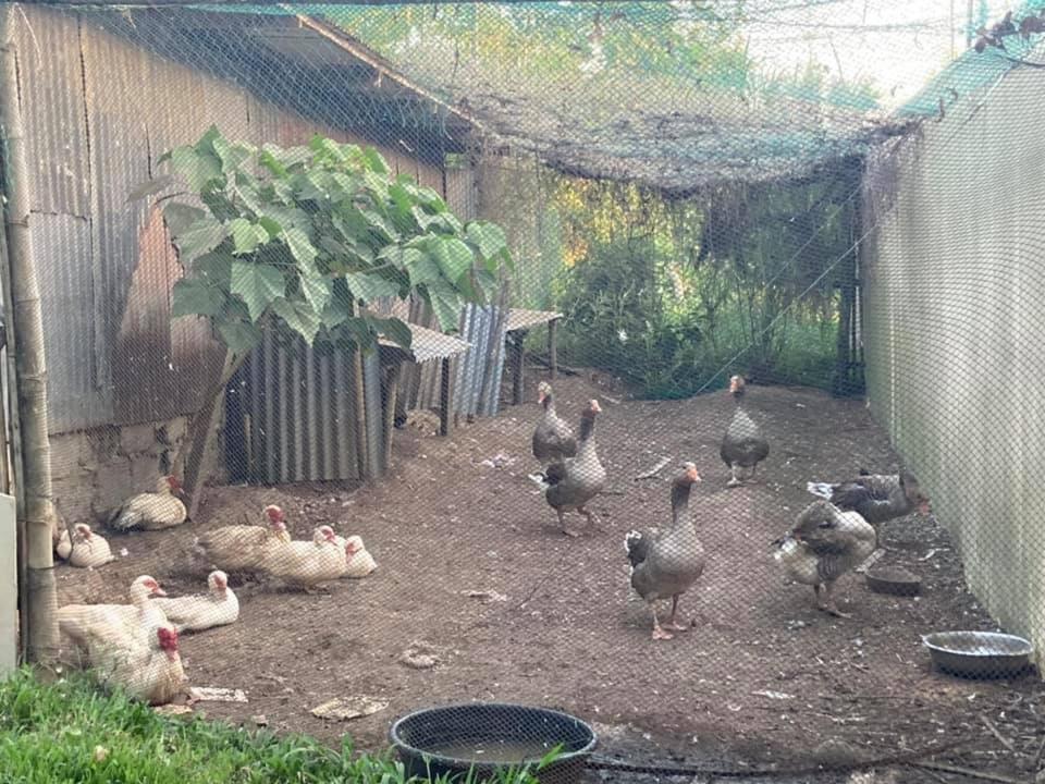 Ataalaya Farmhouse Batangas Exterior foto